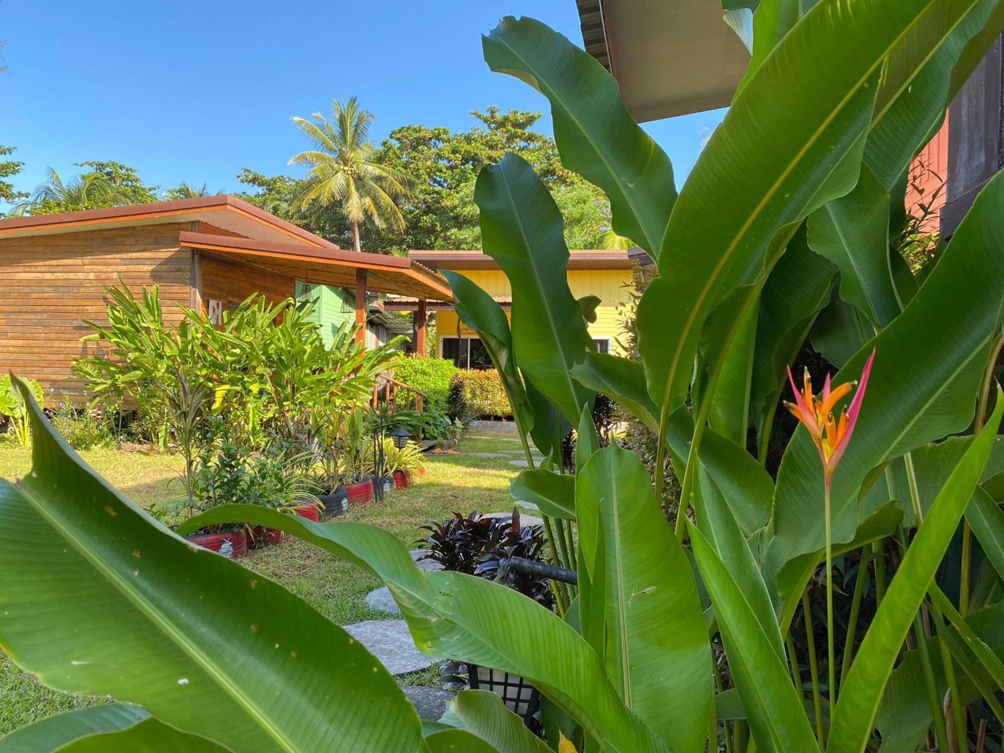 Coconut Lanta Resort @Klong Dow Beach ク ラビ エクステリア 写真